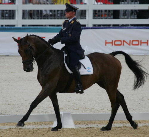 Andreas Ostholt riding Rainman